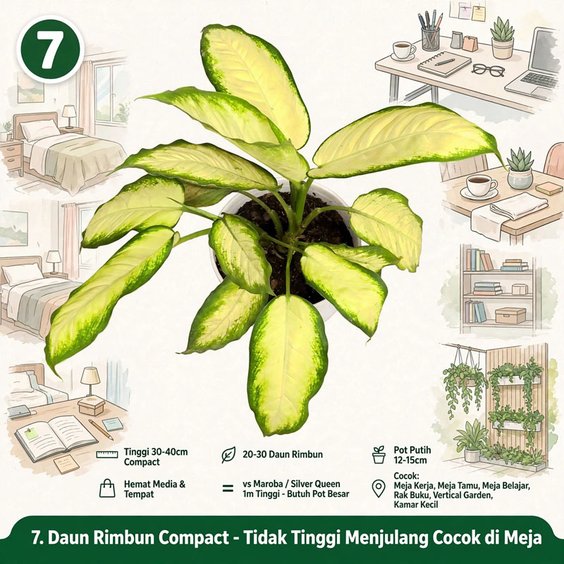 daun Bahagia