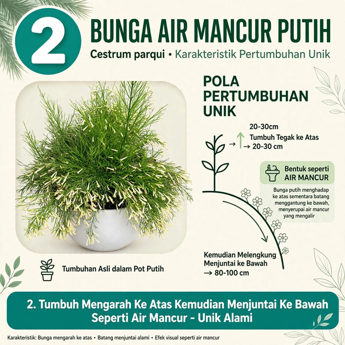 Bunga 