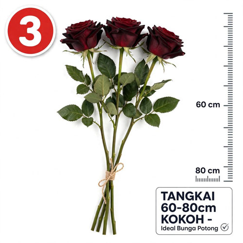 bunga mawar potong hitam