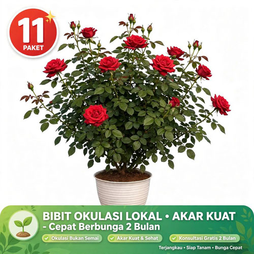Bunga mawar