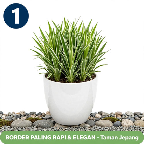 tananaman hias untuk pengganti rumput gajah mini ground cover