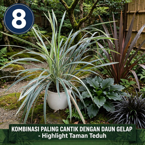 tanaman hias taman tahan panas