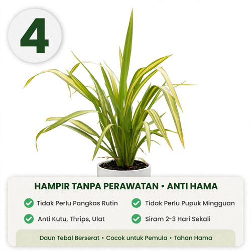 tanaman langka