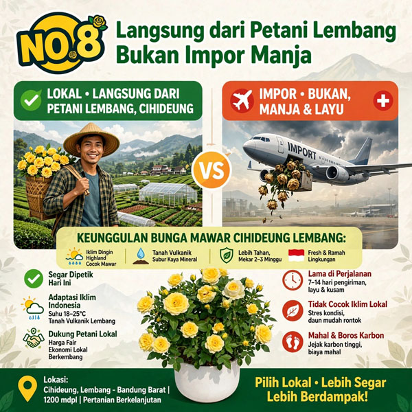 bunga mawar mawar kuning bandung