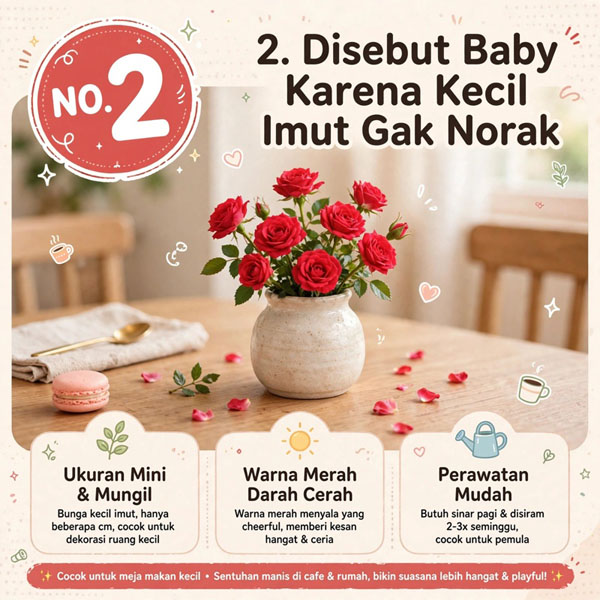 bibit bunga mawar