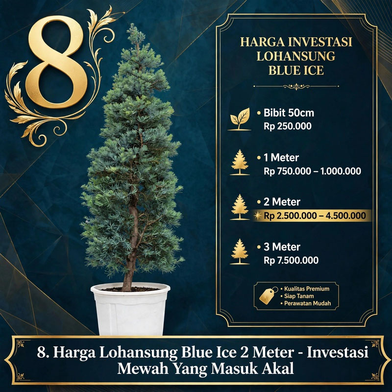 lohansung blue ice silver