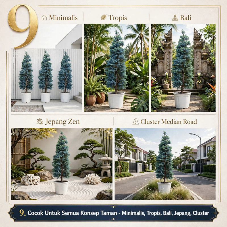 harga lohansung blue ice
