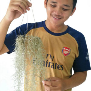 jenggot dewa